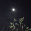 Aiprohemkareng
