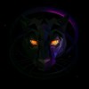 black tiger