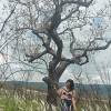 Sandyawan