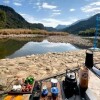 山野闲草