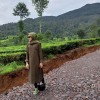 Lifa Nst
