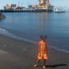 Dyon
