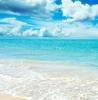 Sandy