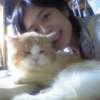 Forrest Tsoi