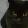 エル Eru