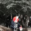 Iyan Stream