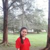 sist_gee