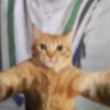 renjun gf