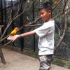 Por Chayanat