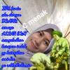 Ali Gaspol Genggong