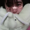 meroxy aries