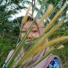 Ayu Putri ys