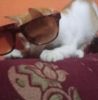 Doa Suci