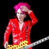 Hide
