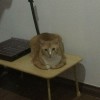 Fuzzley Yamazaki88