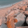 farramalique.