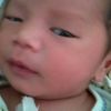Endang Roma Roma