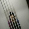 Cebong Anyut