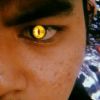 Mugay Nicoll