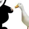euoaoui
