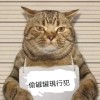 阿生