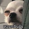 프라와