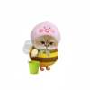 Chotika Butchan
