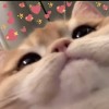 nafisyah_10