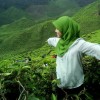 Aiqa