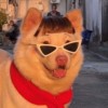 Jomjoomnom