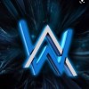 alanwalker48shop