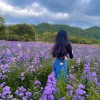 นาว