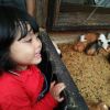 Dhea Arpianti