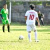 Eko Rosicky