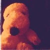 WinWin