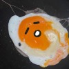 八爪魚