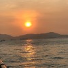 落花流水春去也