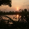 Toey Sontaya