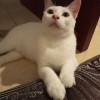 Hasna