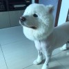 Martin Au
