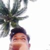 Aril Cikitox