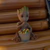 i am groot