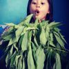 Krisna Narra