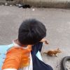 ปาวิศ โกสุวรรฌ