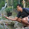 Yogicakil