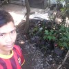 Sofyan