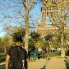 Farees 