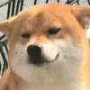 OokoukioO嘉杰