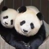 小四