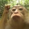 Thi Ha Aung